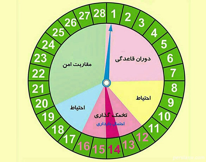 نشانه های تخمک گذاری