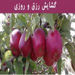 گشایش رزق و روزی