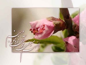 صلواتی که انسان را یک هفته در امان دارد