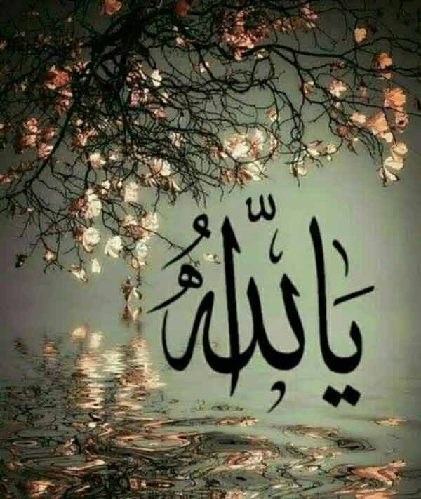 خداوند و خیر و صلاح بندگانش