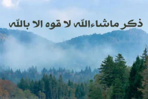 ذکر ماشاءالله لا قوه الا بالله ؛ آثار شگفت‌انگیز، خواص درمانی و گشایش‌های عظیم در رزق و امنیت زندگی