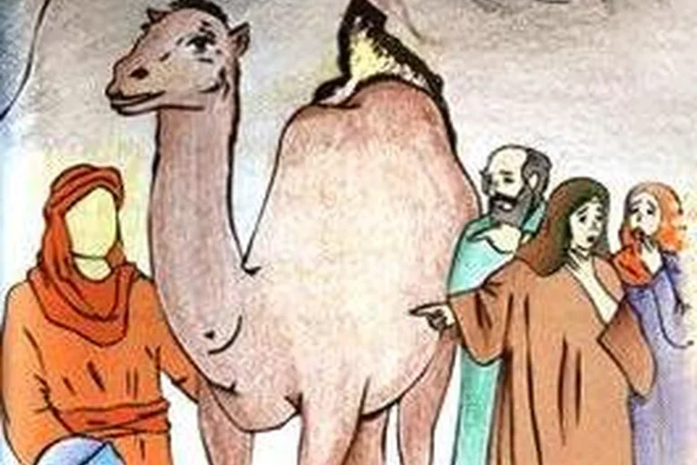 معجزه شتر سرخ