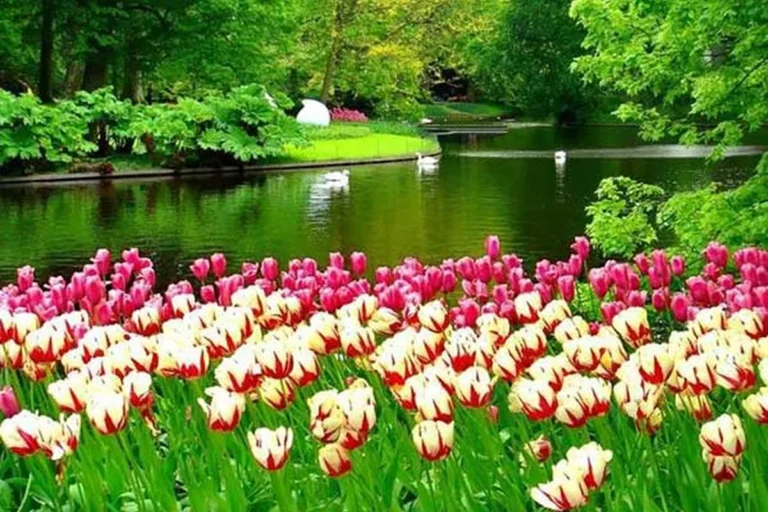 نمازخوان ها و روزه بگیرها صد در صد به بهشت می روند؟