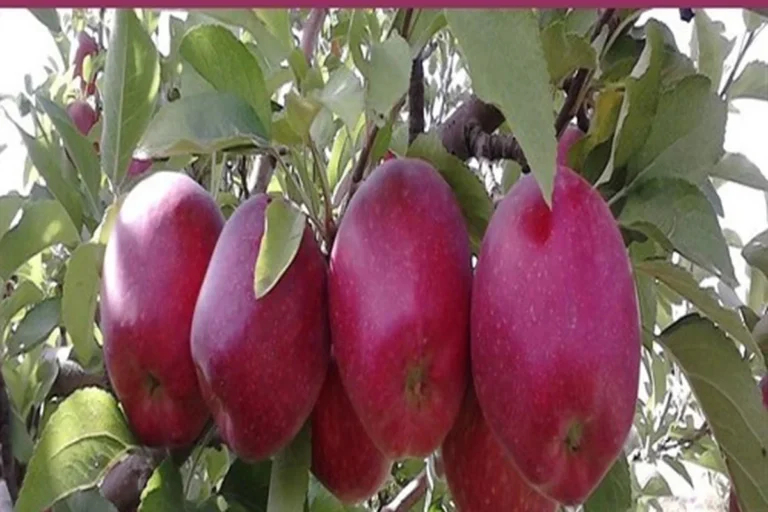 هفت آیه جهت گشایش رزق و روزی