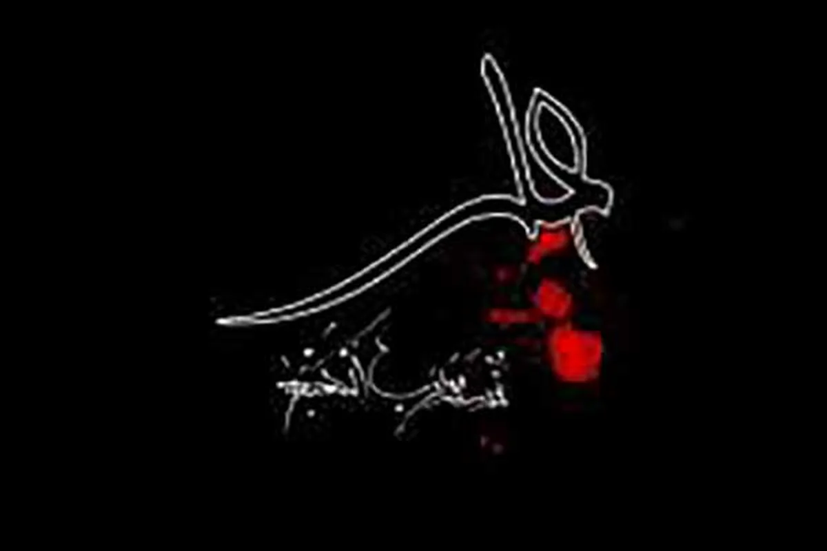 چرا امام حسن و امام حسین(علیهم السلام) به هنگام ضربت خوردن امام علی(ع) در مسجد حضور نداشتند؟