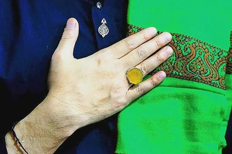 چگونه به سادات و امام زادها  احترام بگذاریم