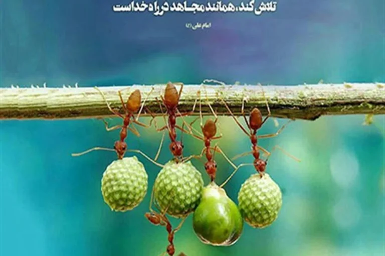کسی که به دنبال روزی حلال باشد چه پاداشی در انتظار اوست؟