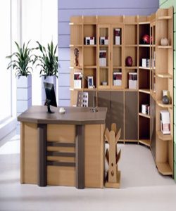 جدیدترین طراحی دکوراسیون داخلی اتاق کار+ تصاویر