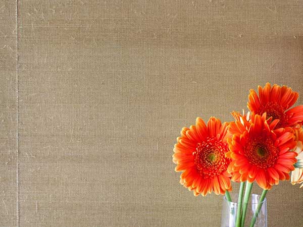 کاغذ دیواری استایل خانه است / بهترین استایل را برای دکوراسیون خود انتخاب کنید
