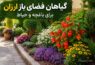 گیاهان فضای باز ارزان برای باغچه و حیاط - گیاهان فضای باز ارزان