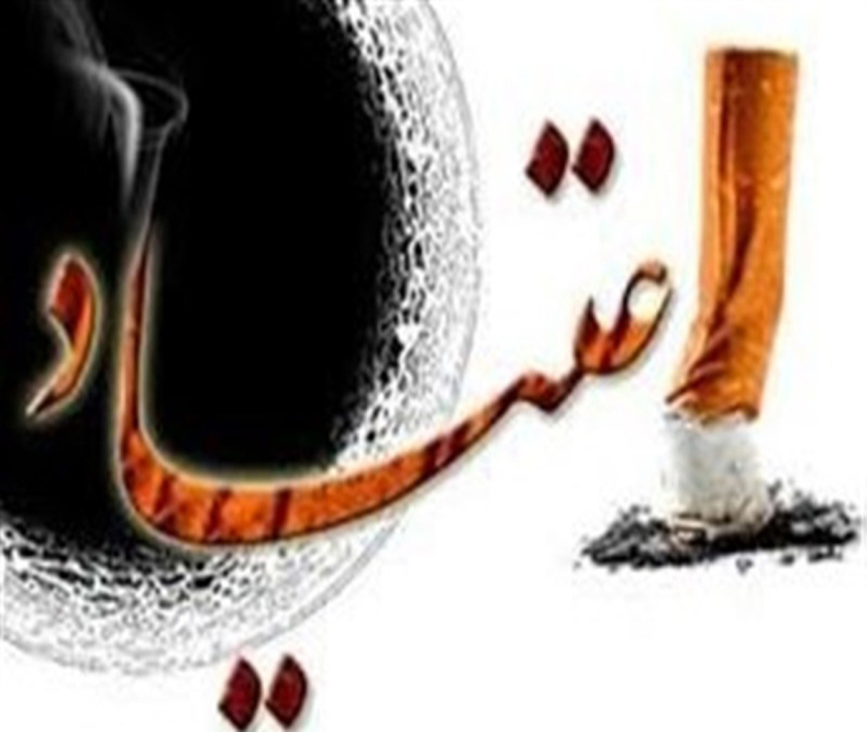 تغذیه معتادان