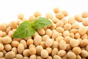 محققان ژاپنی از فواید سویا برای زنان می گویند