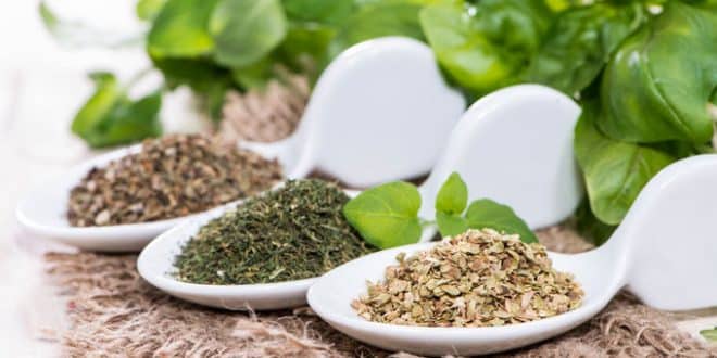گیاهان مفیدبرای فشار خون بالا گیاهانی که فشار خون را بالا میبرند