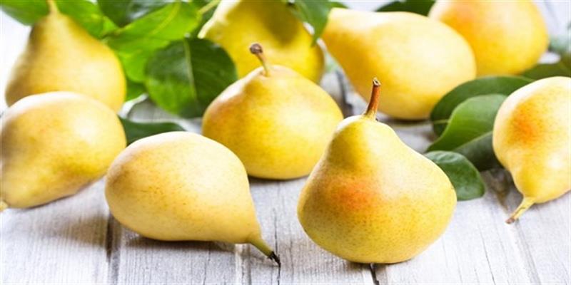 خواص آب گلابی برای سلامتی