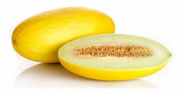 آشنایی با خواص خربزه میوه ی شیرین تابستانی