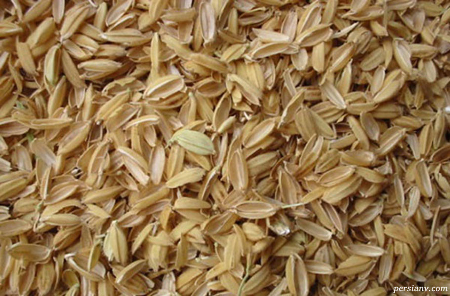 بررسی خواص دارویی سبوس برنج خواص دارویی سبوس برنج