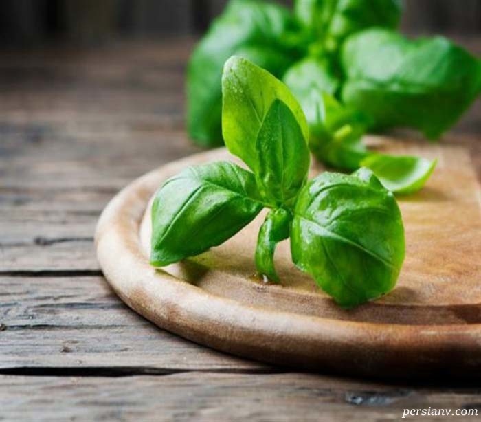 معرفی خواص سبزی ریحان خواص سبزی ریحان