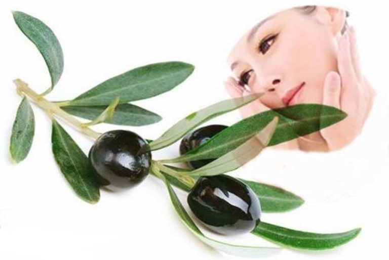 عصاره برگ زیتون و خواص آن / از درمان آنفولانزا تا چندین خاصیت دیگر