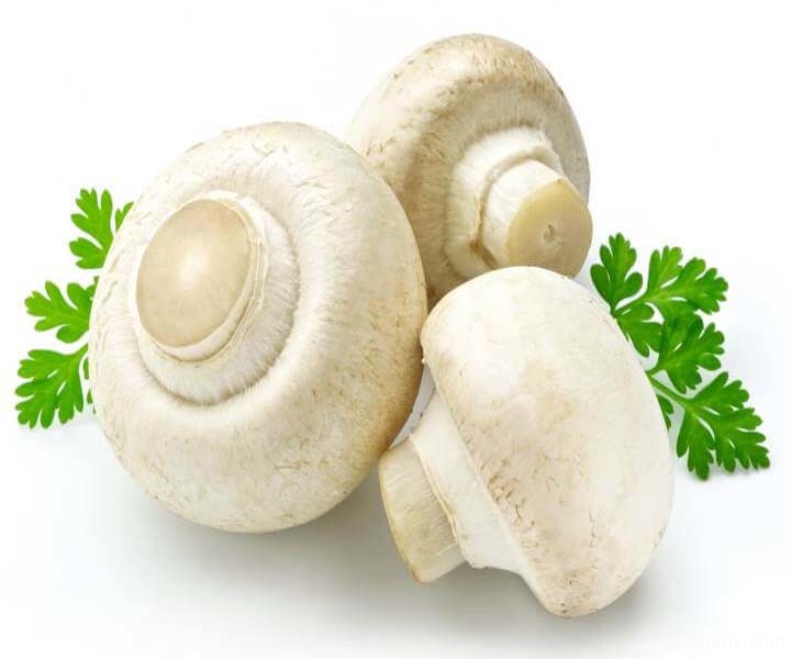 مواد غذایی سفید رنگ
