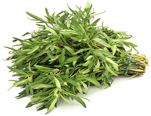 چربی‌خون