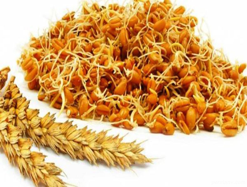  مصرف جوانه گندم با شیر