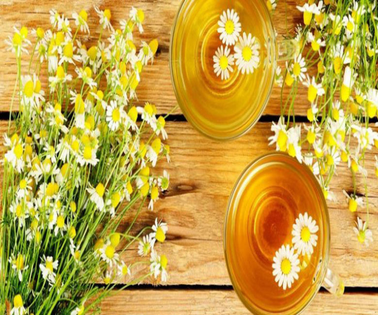 دمنوش‌های گیاهی که اگر بخورید گرمتان میشود