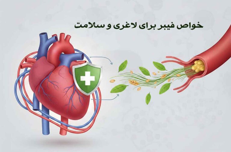 خواص فیبر برای لاغری و سلامت ؛ لیست مواد غذایی سرشار از فیبر برای لاغری سریع