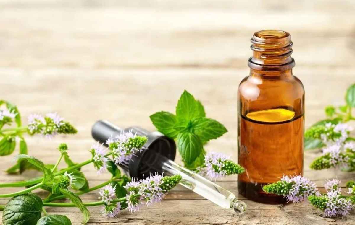 کاهش فشار خون خفیف با مصرف روزانه یک روغن گیاهی در ۲۰ روز
