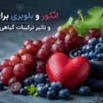 تأثیر انگور و بلوبری بر سلامت قلب ؛ نتیجه بررسی‌ها چه می‌گوید؟