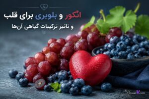 انگور و بلوبری برای قلب و تاثیر ترکیبات گیاهی آن‌ها - انگور و بلوبری برای قلب