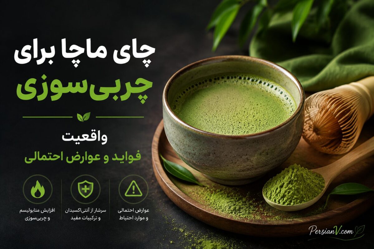 چای ماچا برای چربی‌سوزی واقعا مؤثر است؟ حقیقتی که تبلیغات نمی‌گویند