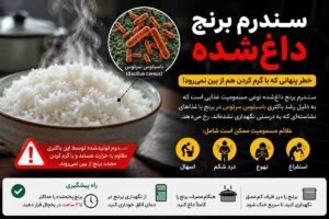آیا واقعاً برنج مانده در دمای اتاق میتواند ما را بیمار کند؟ علائم مسمومیت با برنج مانده چیست ؟