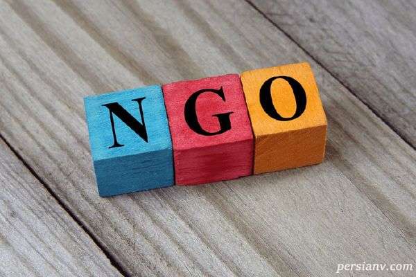 انجمن ngo چیست